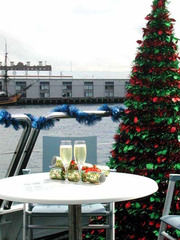 Christmas Party Venue on Sydney Harbour